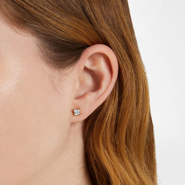 Orecchini Chiara Ferragni - Brand Classic