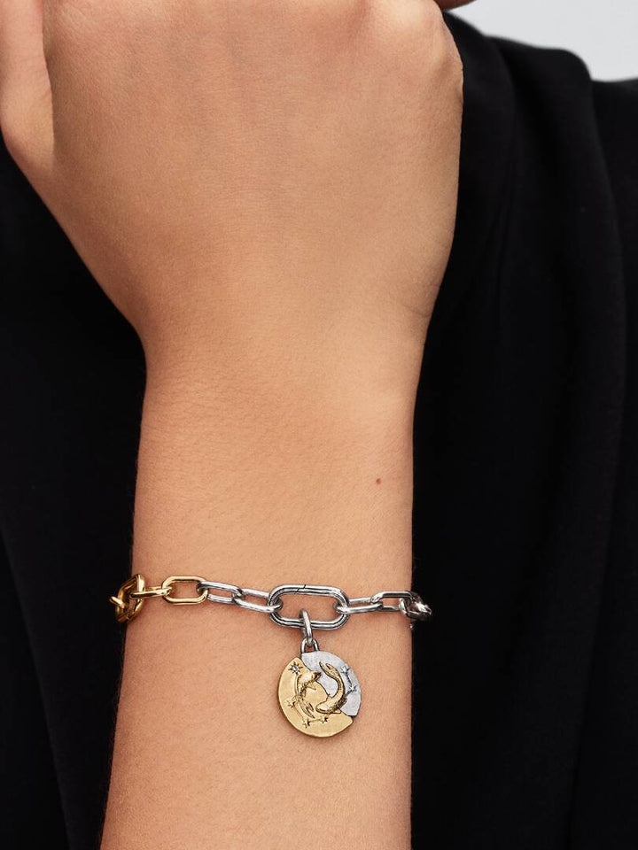 Charm Pandora - Medallion Pesci