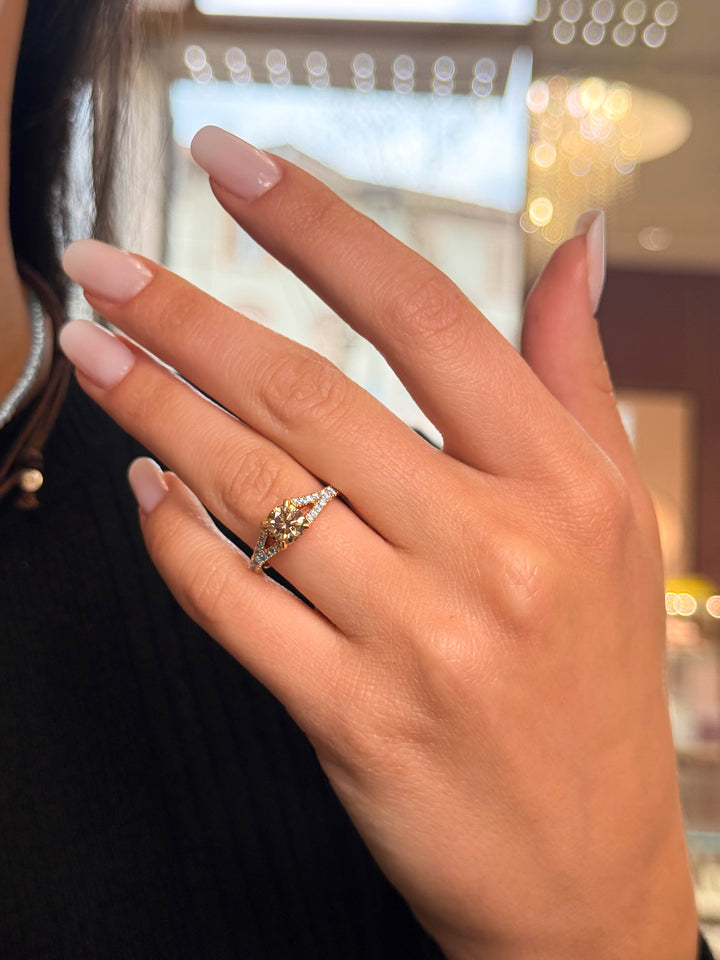 Anello Crivelli - Solitario con Diamante Brown in Oro Rosa