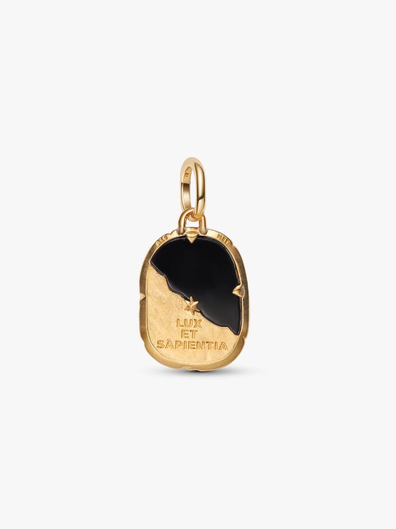 Charm Pandora - Medallion Gufo "Lux Et Sapientia"