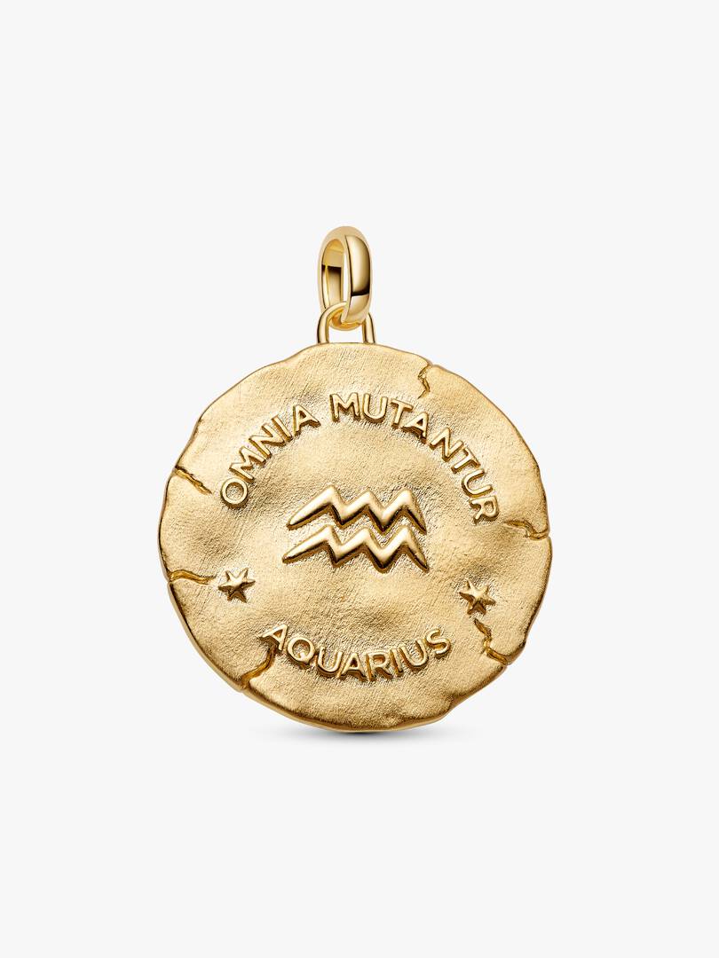 Charm Pandora - Medallion XL Acquario "Omnia Mutantur"