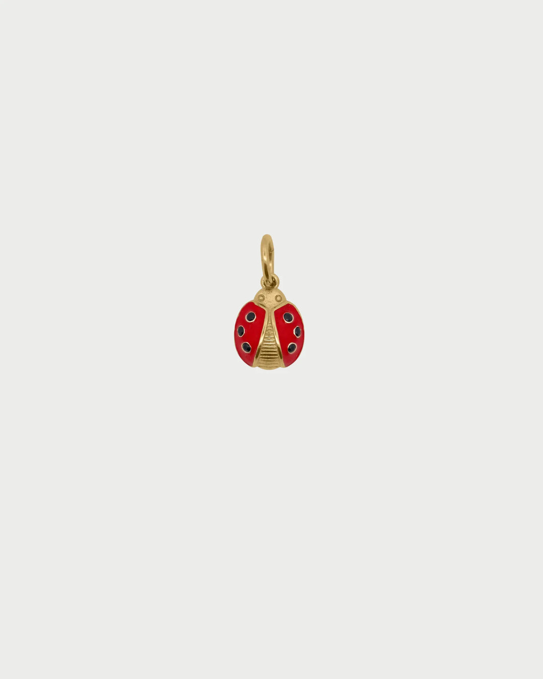 Charm Rue Des Mille - Coccinella
