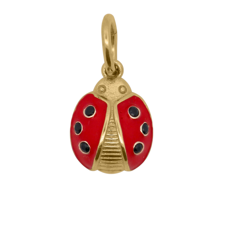 Charm Rue Des Mille - Coccinella