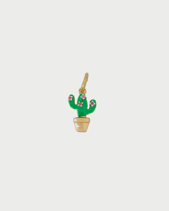 Charm Rue Des Mille - Cactus