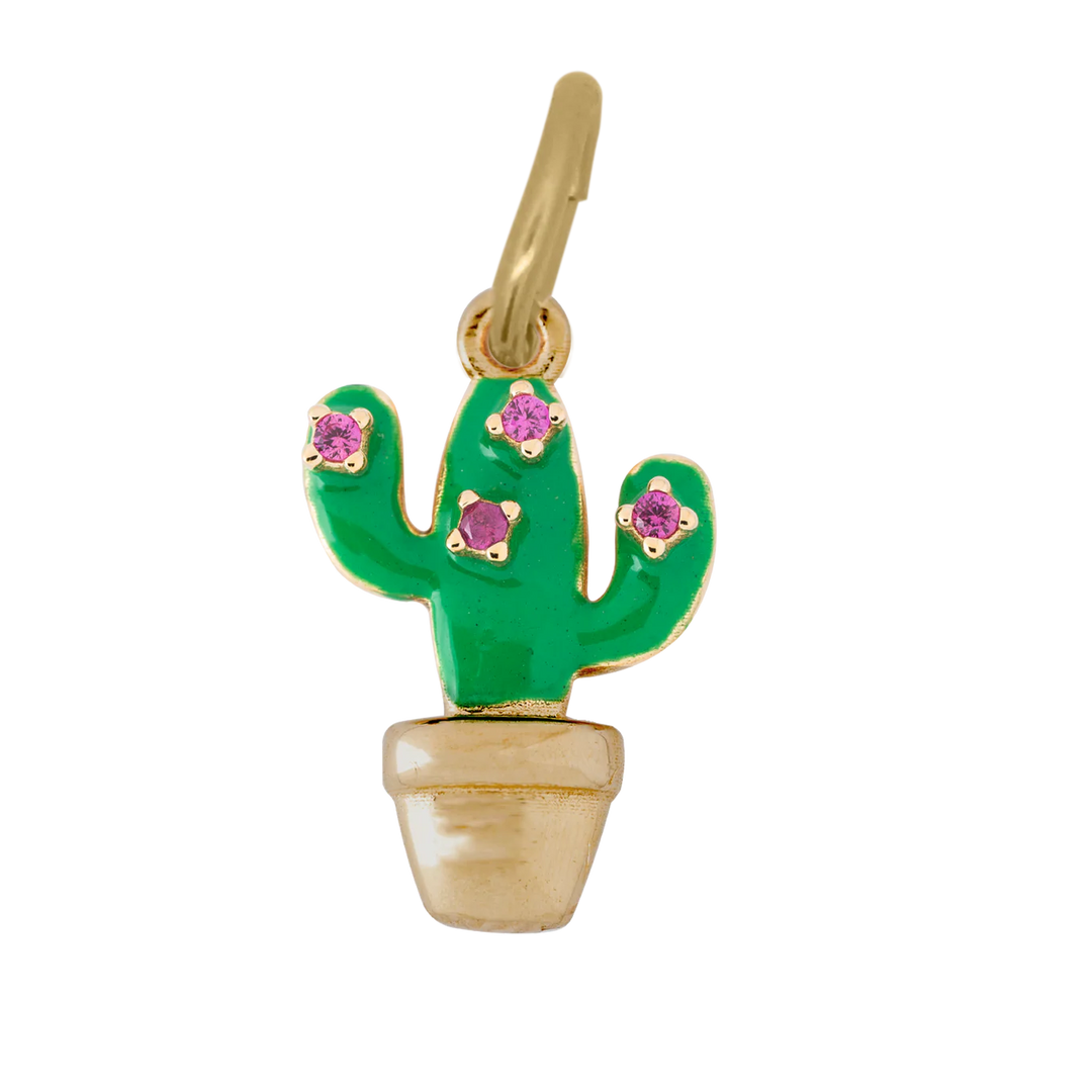 Charm Rue Des Mille - Cactus