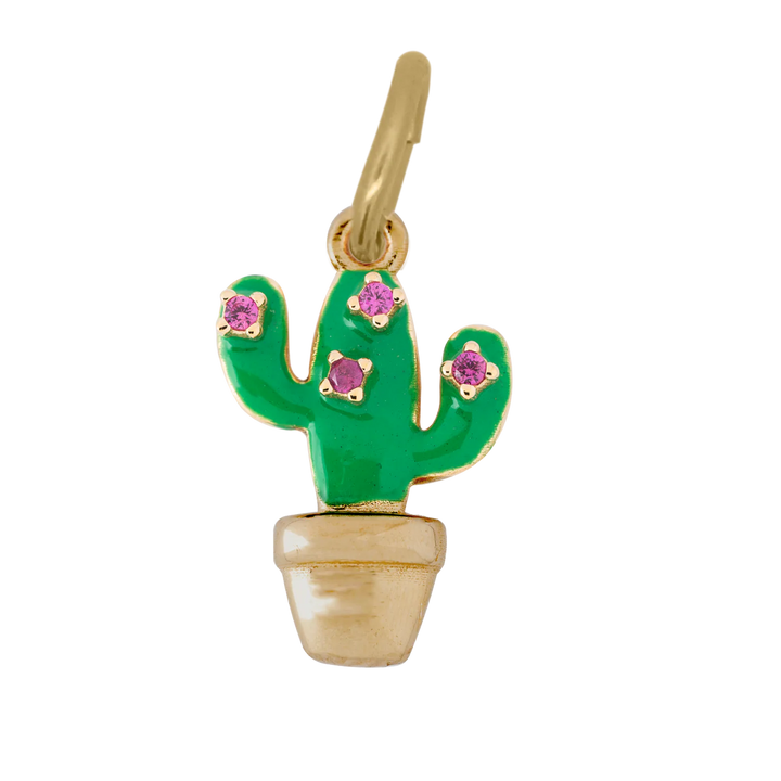 Charm Rue Des Mille - Cactus